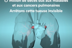 air-pollution-infographics-lung-fr