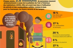 WHO Nada Air Pollution Slides cs6_FR3
